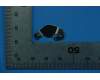 Lenovo 5S58C15880 TB-8705F Motor Metal&*712598328261CS