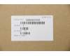 Lenovo 5SB0S31910 speaker B 81M4