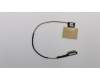 Lenovo CABLE ZIWB3 LCD Cable WO/Camera Cable NT pour Lenovo B51-80 (80LM)