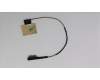 Lenovo CABLE ZIWB3 LCD Cable WO/Camera Cable NT pour Lenovo B51-30 (80LK)