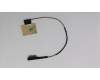 Lenovo CABLE ZIWB3 LCD Cable WO/Camera Cable NT pour Lenovo B51-80 (80LM)