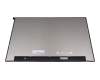 Acer Predator Triton 500 (PT516-51s) original IPS écran (2560x1600) mat 165Hz