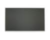 Alternative pour Lenovo 0XM5XG TN écran (1366x768) mat 60Hz