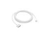 Apple MW613ZM/A USB-C vers MagSafe 3