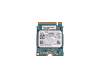 Substitut pour Samsung MZ9LQ256HAJD-000D1 PCIe NVMe SSD 256GB (M.2 22 x 30 mm)